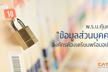 โครงสร้างองค์กร